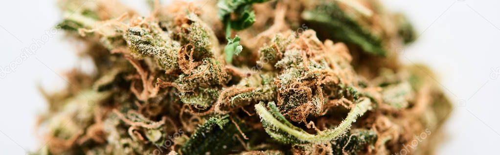 close up view of natural marijuana bud isolated on white, panoramic shot