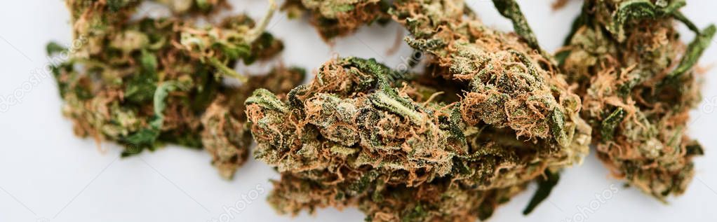 close up view of natural marijuana buds on white background, panoramic shot