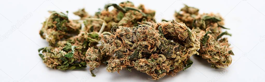 close up view of marijuana buds on white background, panoramic shot