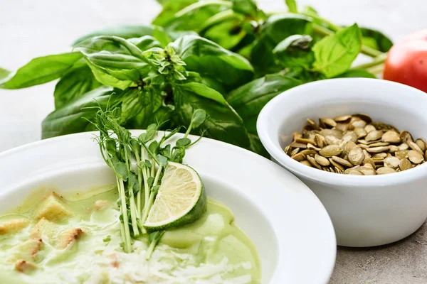 Plate of delicious green spinach creamy soup with croutons, lime sprouts and pumpkin seeds — Stock Image Plate Delicious Green Spinach Creamy Soup Croutons Lime Sprouts Pumpkin Royalty Free Stock Photos