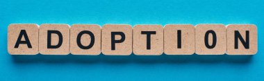 mavi arka plan üzerinde evlat edinme yazı ile ahşap blokların panoramik çekim