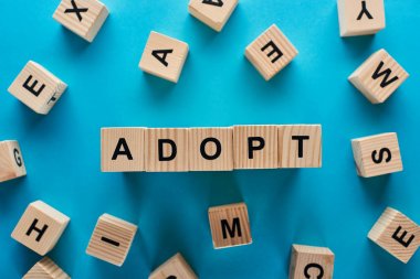 mavi arka plan üzerinde ahşap bloklardan yapılmış kelime benimsemek üst görünümü