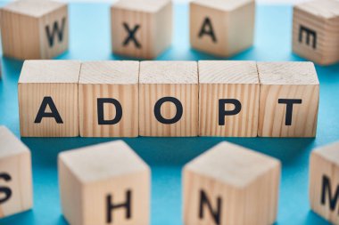 mavi arka plan üzerinde ahşap küpler yapılmış kelime benimsemek seçici odak