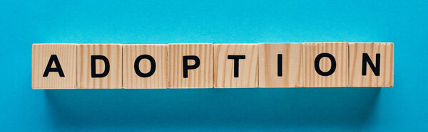 top view of wooden blocks with adoption word on blue background, panoramic shot