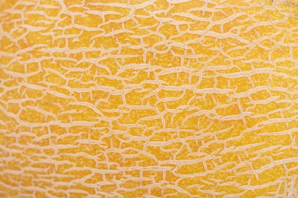 黄色のメロンピールテクスチャのクローズアップビュー — ストック写真