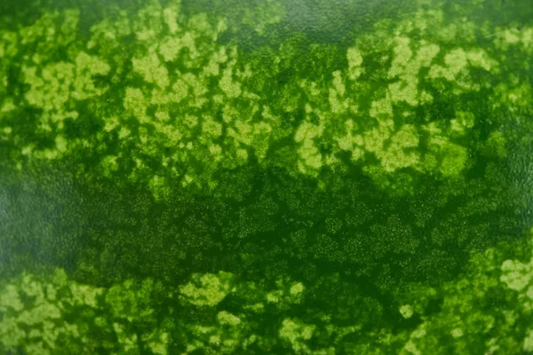 Close View Green Watermelon Textured Peel — Stock Photo, Image