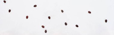 panoramic shot of fresh watermelon seeds on white background clipart