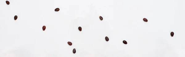 Panoramic Shot Fresh Watermelon Seeds White Background — Stock Photo, Image