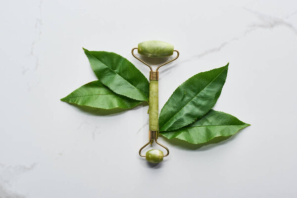 top view of green facial roller and leaves on marble surface