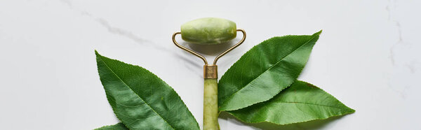 panoramic shot of green massage roller near fresh leaves on marble surface