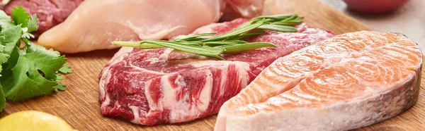 Panoramabild Rått Kött Med Rosemary Twig Nära Lax Och Kyckling — Stockfoto