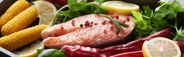 Panoramic Shot Raw Salmon Steak Lemon Herbs Vegetables — Stock Photo, Image