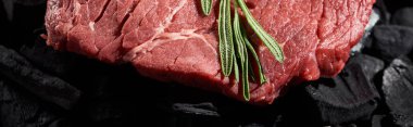 panoramic shot of raw beef steak with fresh rosemary sprig on coal pieces clipart