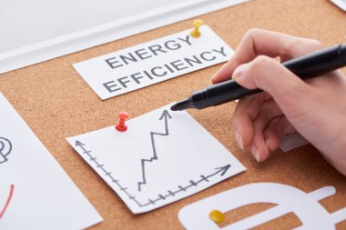 cropped view of woman holding black highlighter near work charts on cork board clipart