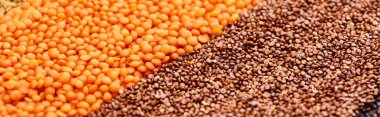 panoramic shot of roasted buckwheat grains and red lentil clipart