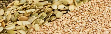 panoramic shot of raw buckwheat and pumpkin seeds clipart