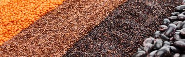 panoramic shot of assorted black beans, quinoa, red lentil and buckwheat clipart