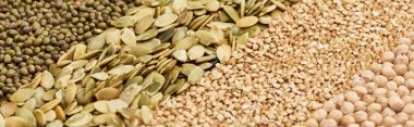 panoramic shot of moong beans, pumpkin seeds, raw buckwheat and chickpea clipart
