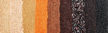 panoramic shot of assorted black beans, rice, quinoa, red lentil, buckwheat and chickpea clipart