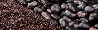 siyah Quinoa tohum ve fasulye panoramik atış