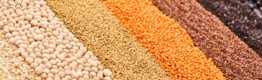panoramic shot of assorted whole grains and chickpea clipart