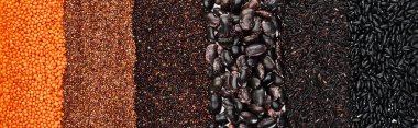 panoramic shot of assorted black beans, rice, quinoa, red lentil and roasted buckwheat clipart