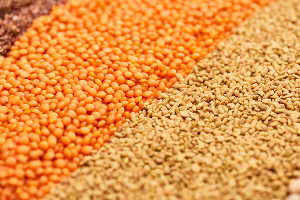Close up view of raw red lentil and whole grains