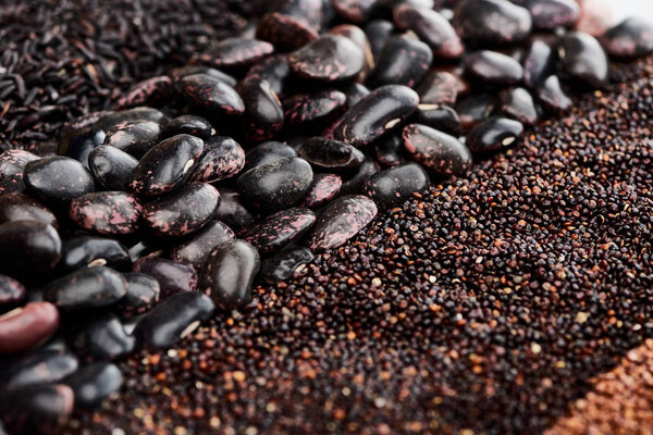 close up view of wild rice, black beans and quinoa