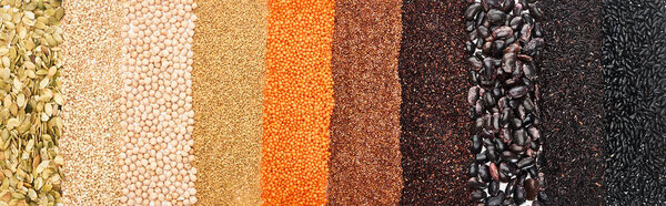 panoramic shot of assorted black beans, rice, quinoa, red lentil, buckwheat, chickpea and pumpkin seeds