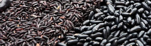 Panoramic Shot Small Black Beans Rice — Stock Photo, Image