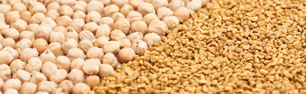 Panoramic Shot Chickpea Whole Grains — Stock Photo, Image