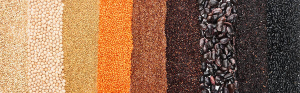 panoramic shot of assorted black beans, rice, quinoa, red lentil, buckwheat and chickpea