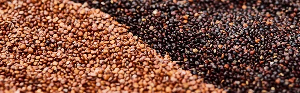 Panoramic Shot Roasted Buckwheat Black Quinoa — Stock Photo, Image