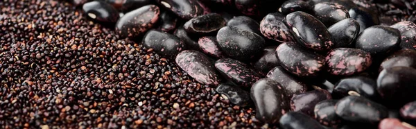 Panoramische Foto Van Zwarte Quinoa Zaden Bonen — Stockfoto