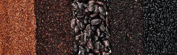 Panoramic Shot Assorted Black Beans Rice Quinoa Roasted Buckwheat — Stock Photo, Image