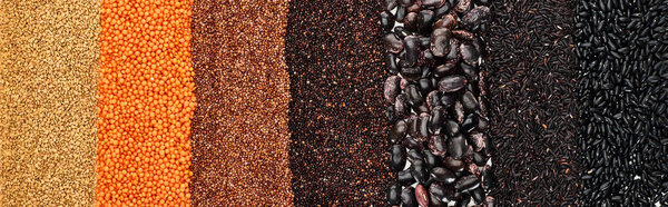 panoramic shot of assorted black beans, rice, quinoa, red lentil and buckwheat