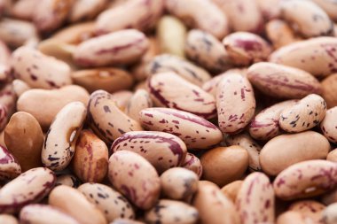 close up view of raw pinto beans clipart