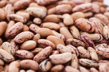 close up view of uncooked pinto beans clipart