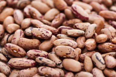 close up view of unprocessed pinto beans clipart