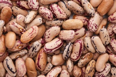top view of raw organic pinto beans clipart