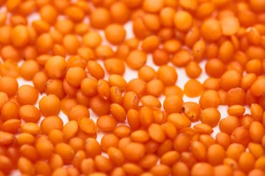 close up view of raw red lentil seeds clipart