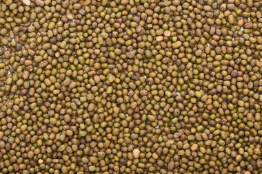 top view of uncooked green moong beans clipart