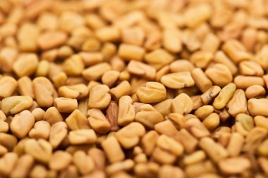 close up view of raw organic bulgur grains clipart