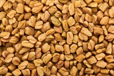 close up view of unprocessed whole organic bulgur clipart