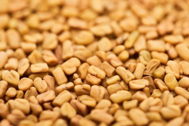 close up view of uncooked whole organic bulgur clipart