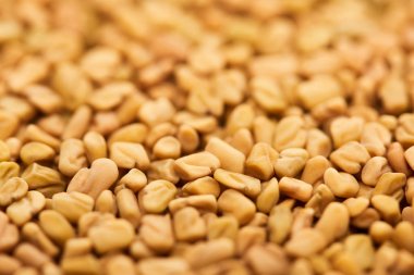 close up view of uncooked bulgur whole grains clipart