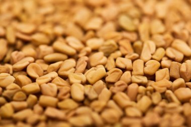 close up view of uncooked bulgur grains clipart