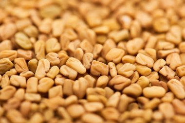 işlenmemiş bulgur tanelerinin yakından görünümü