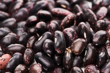 close up view of raw organic black beans clipart