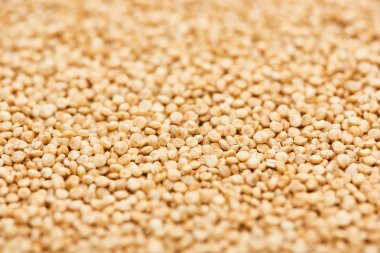 close up view of uncooked seeds of organic white quinoa  clipart